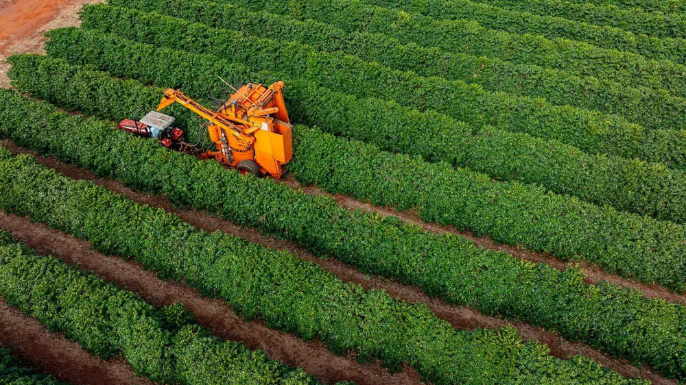 travaux agricole et fenaison (4)